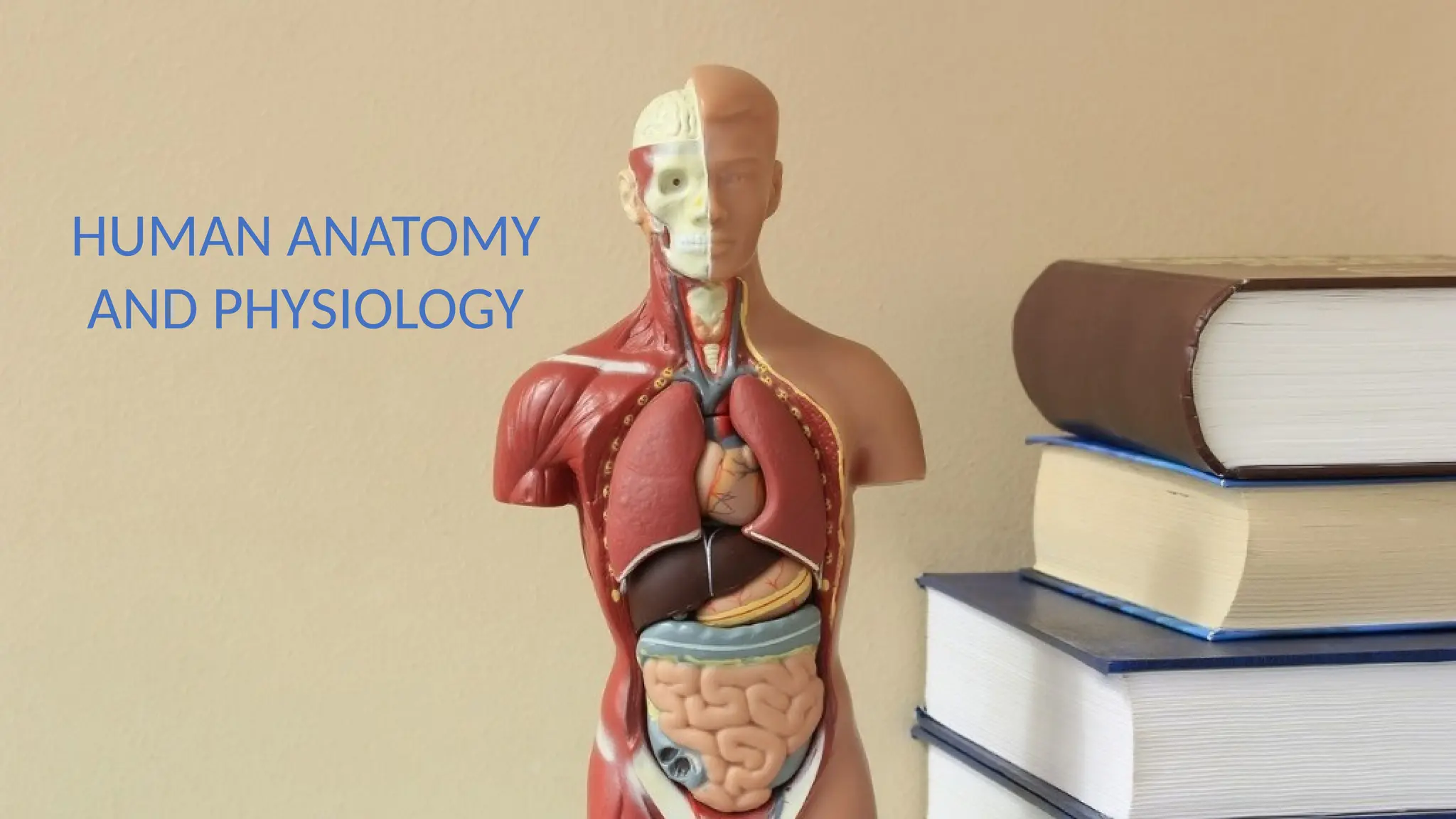 CHAPTER 1_INTRODUCING ANATOMY AND PHYSIOLOGY.pptx
