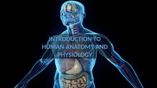 CHAPTER 1_INTRODUCING ANATOMY AND PHYSIOLOGY.pptx