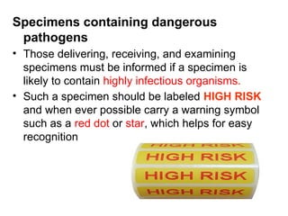 High Risk Specimen Chapter one Introduction bacteriology two | PPTX