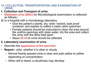 Chapter one Introduction bacteriology two | PPTX