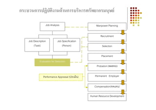 กระบวนการปฏิบัติงานดานการบริหารทรัพยากรมนุษย

                  Job Analysis                        Manpower Planning

                                                          Recruitment
    Job Description          Job Specification
        (Task)                   (Person)                  Selection

                                                          Placement
             Evaluation for Selection
                                                       Probation (ทดสอบ)

                Performance Appraisal (ประเมิน)      Permanent Employer

                                                     Compensation(ทดแทน)

                                                  Human Resource Development
 