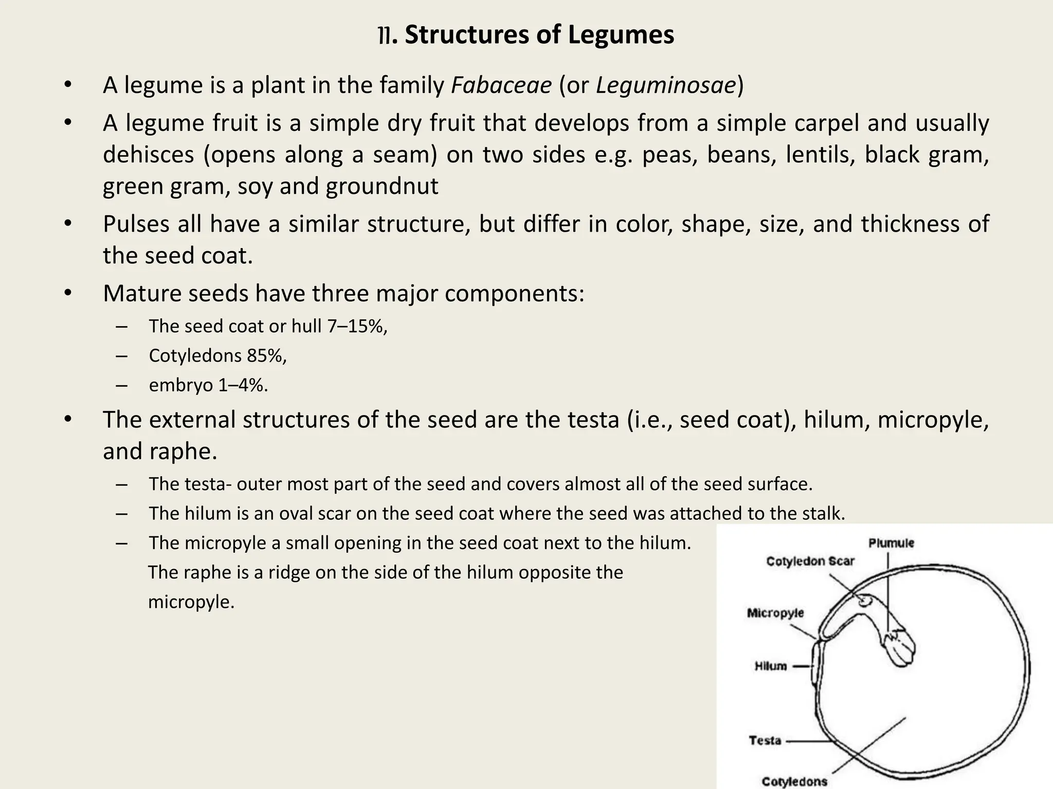 Chapter 1 Introduction to cereals, pulses and oilseeds.pptx