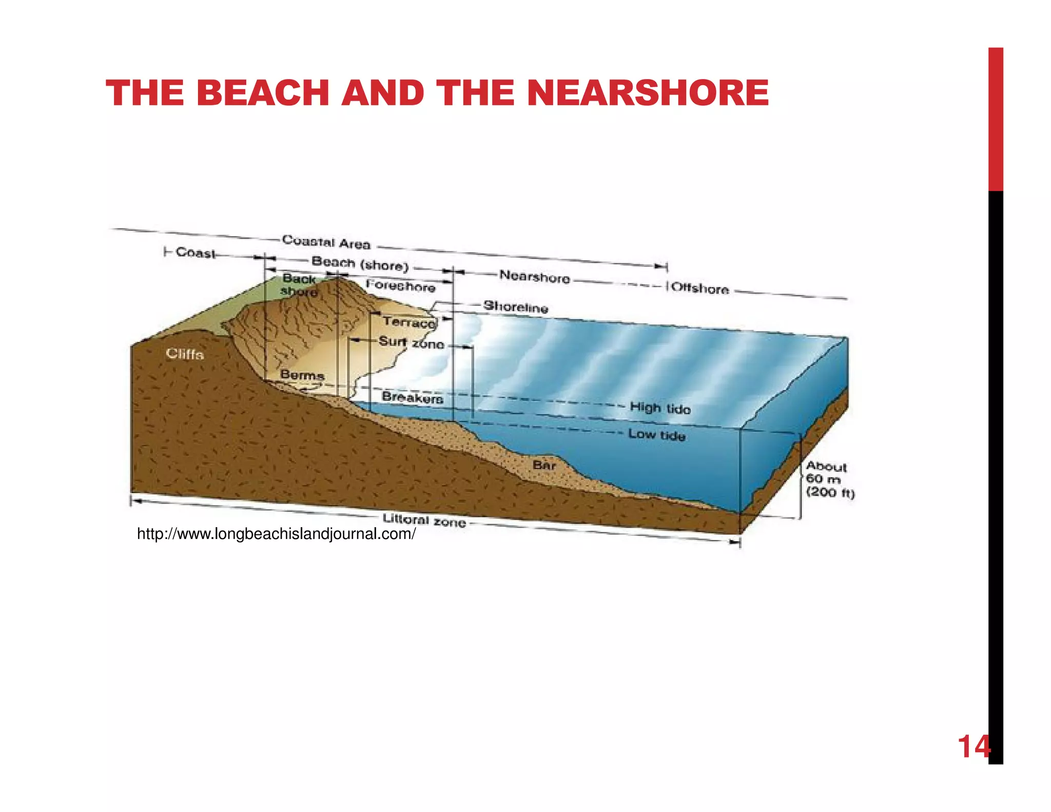THE BEACH AND THE NEARSHORE
http://www.longbeachislandjournal.com/
14
 