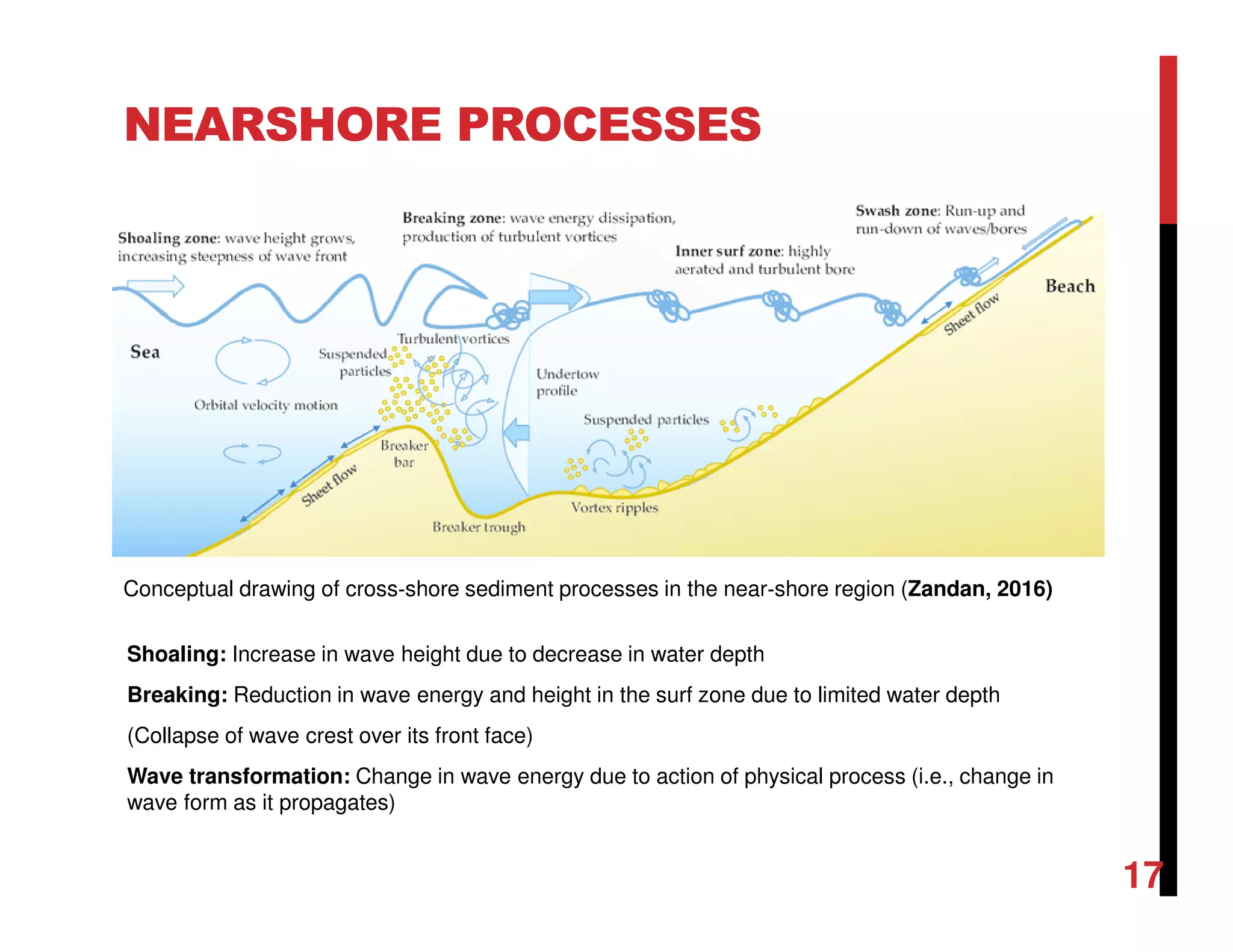 NEARSHORE PROCESSES
Conceptual drawing of cross‐shore sediment processes in the near‐shore region (Zandan, 2016)
Shoaling: Increase in wave height due to decrease in water depth
Breaking: Reduction in wave energy and height in the surf zone due to limited water depth
(Collapse of wave crest over its front face)
Wave transformation: Change in wave energy due to action of physical process (i.e., change in
wave form as it propagates)
17
 
