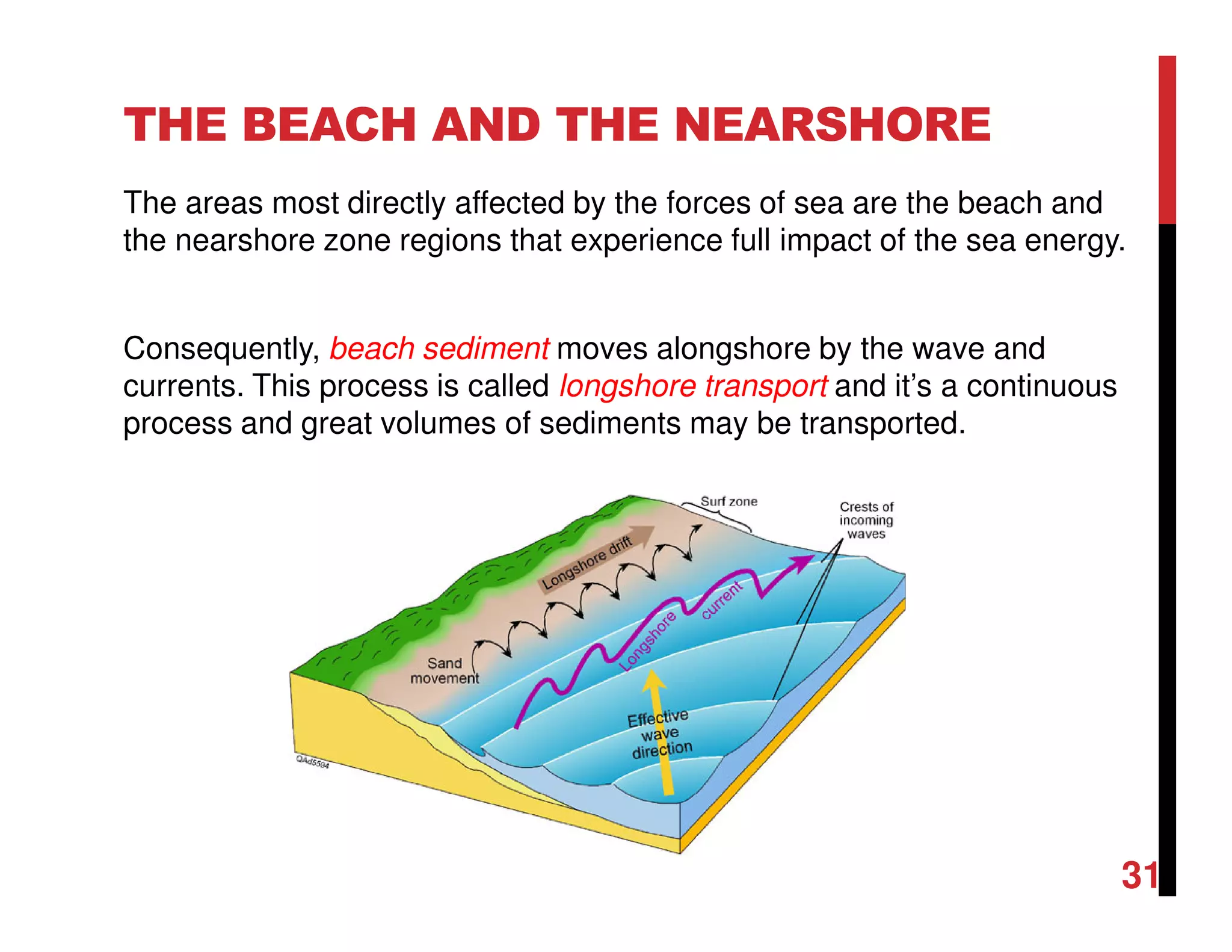 THE BEACH AND THE NEARSHORE
The areas most directly affected by the forces of sea are the beach and
the nearshore zone regions that experience full impact of the sea energy.
Consequently, beach sediment moves alongshore by the wave and
currents. This process is called longshore transport and it’s a continuous
process and great volumes of sediments may be transported.
31
 