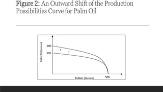 Figure 2: An Outward Shift of the Production
Possibilities Curve for Palm Oil
 