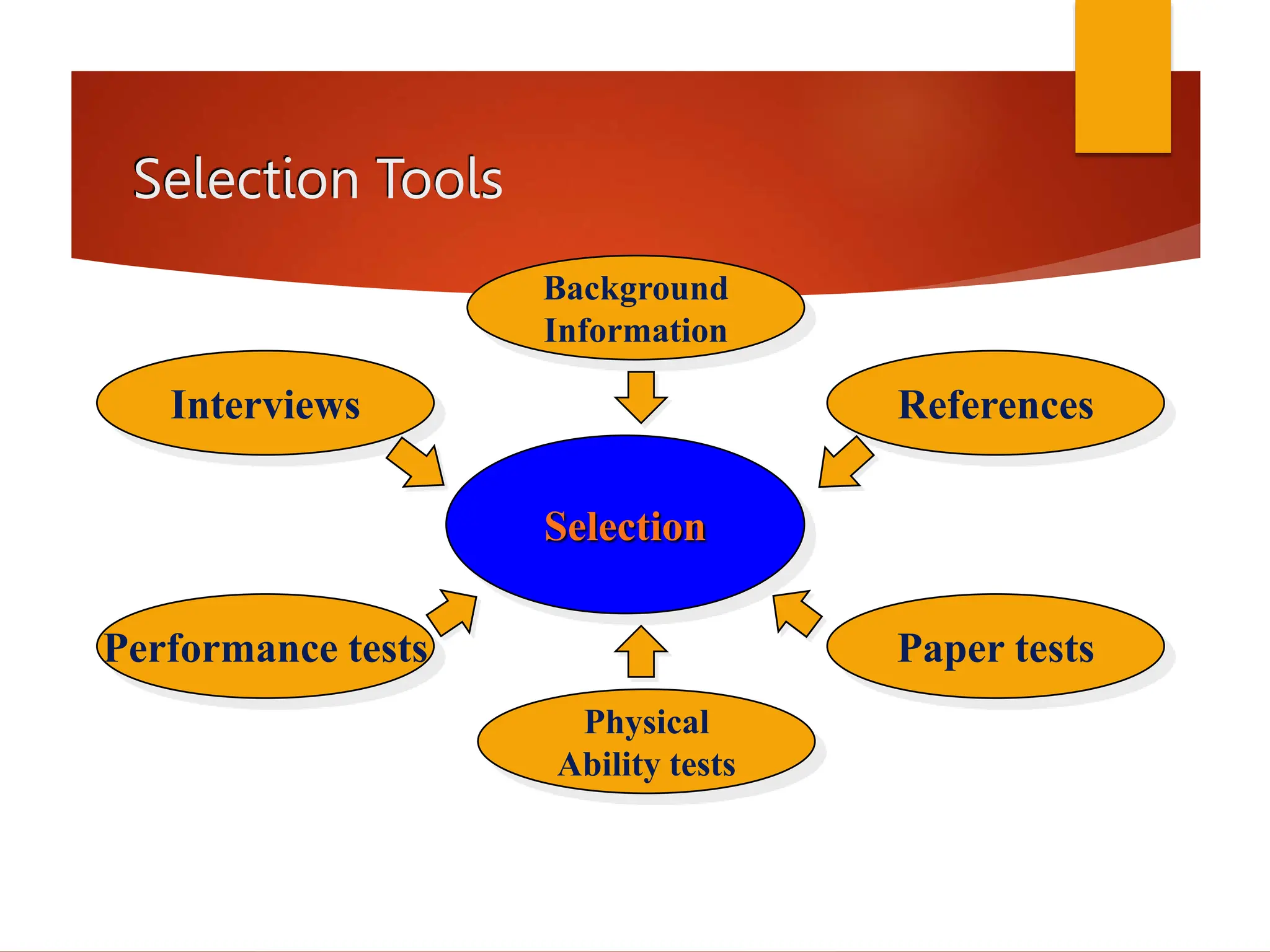 Selection Tools
Background
Information
Interviews References
Paper tests
Physical
Ability tests
Performance tests
Selection
 