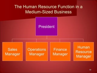 5050
The Human Resource Function in a
Medium-Sized Business
Sales
Manager
President
Operations
Manager
Finance
Manager
Human
Resource
Manager
 