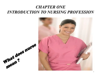 Chapter 1 Introduction to nursing profession (1).pptx