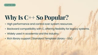 Chapter 1 Introduction to Programming.pdf university presentation | PDF