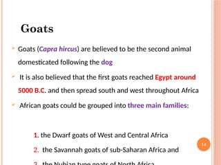 Chapter 1 Introduction to Small Ruminant Production.pptx