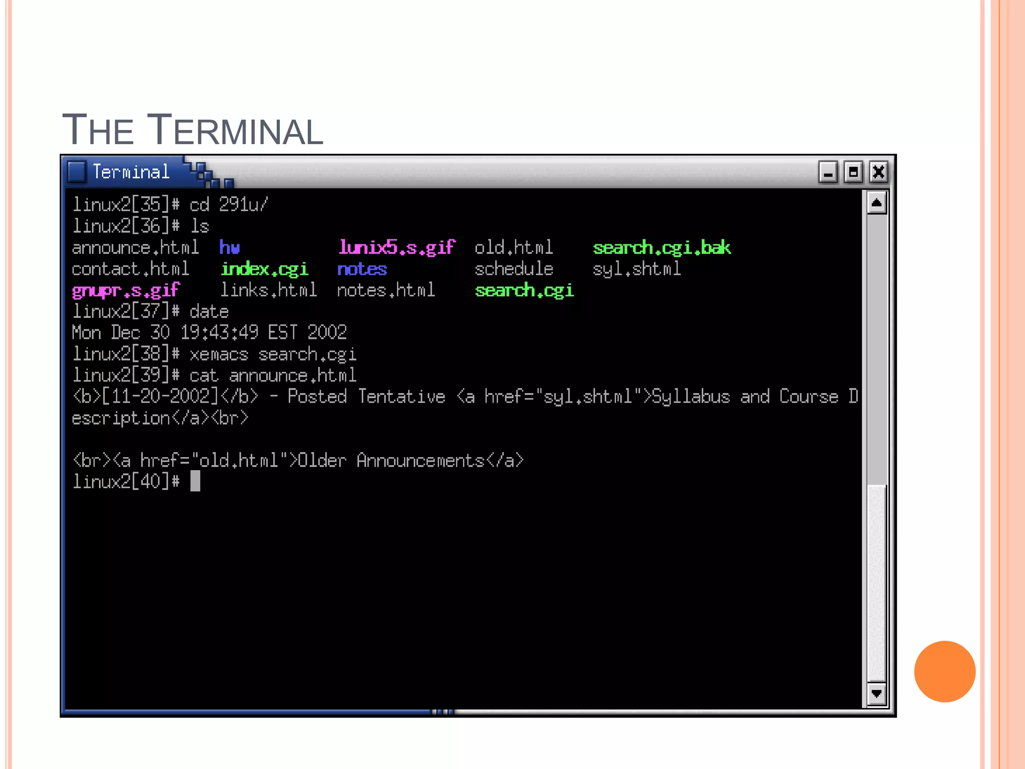 THE TERMINAL
 