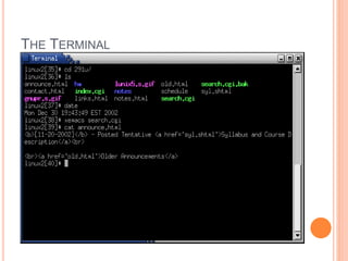 THE TERMINAL
 