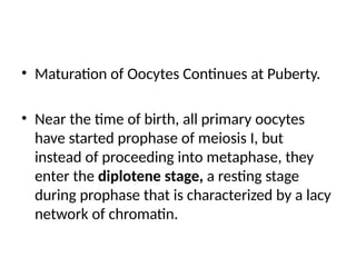 • Maturation of Oocytes Continues at Puberty.
• Near the time of birth, all primary oocytes
have started prophase of meiosis I, but
instead of proceeding into metaphase, they
enter the diplotene stage, a resting stage
during prophase that is characterized by a lacy
network of chromatin.
 
