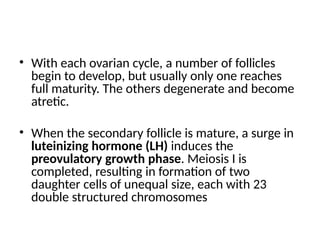 • With each ovarian cycle, a number of follicles
begin to develop, but usually only one reaches
full maturity. The others degenerate and become
atretic.
• When the secondary follicle is mature, a surge in
luteinizing hormone (LH) induces the
preovulatory growth phase. Meiosis I is
completed, resulting in formation of two
daughter cells of unequal size, each with 23
double structured chromosomes
 