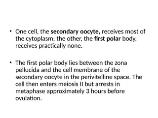 • One cell, the secondary oocyte, receives most of
the cytoplasm; the other, the first polar body,
receives practically none.
• The first polar body lies between the zona
pellucida and the cell membrane of the
secondary oocyte in the perivitelline space. The
cell then enters meiosis II but arrests in
metaphase approximately 3 hours before
ovulation.
 