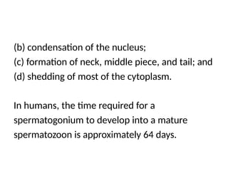 (b) condensation of the nucleus;
(c) formation of neck, middle piece, and tail; and
(d) shedding of most of the cytoplasm.
In humans, the time required for a
spermatogonium to develop into a mature
spermatozoon is approximately 64 days.
 