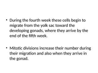 • During the fourth week these cells begin to
migrate from the yolk sac toward the
developing gonads, where they arrive by the
end of the fifth week.
• Mitotic divisions increase their number during
their migration and also when they arrive in
the gonad.
 
