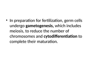 • In preparation for fertilization, germ cells
undergo gametogenesis, which includes
meiosis, to reduce the number of
chromosomes and cytodifferentiation to
complete their maturation.
 