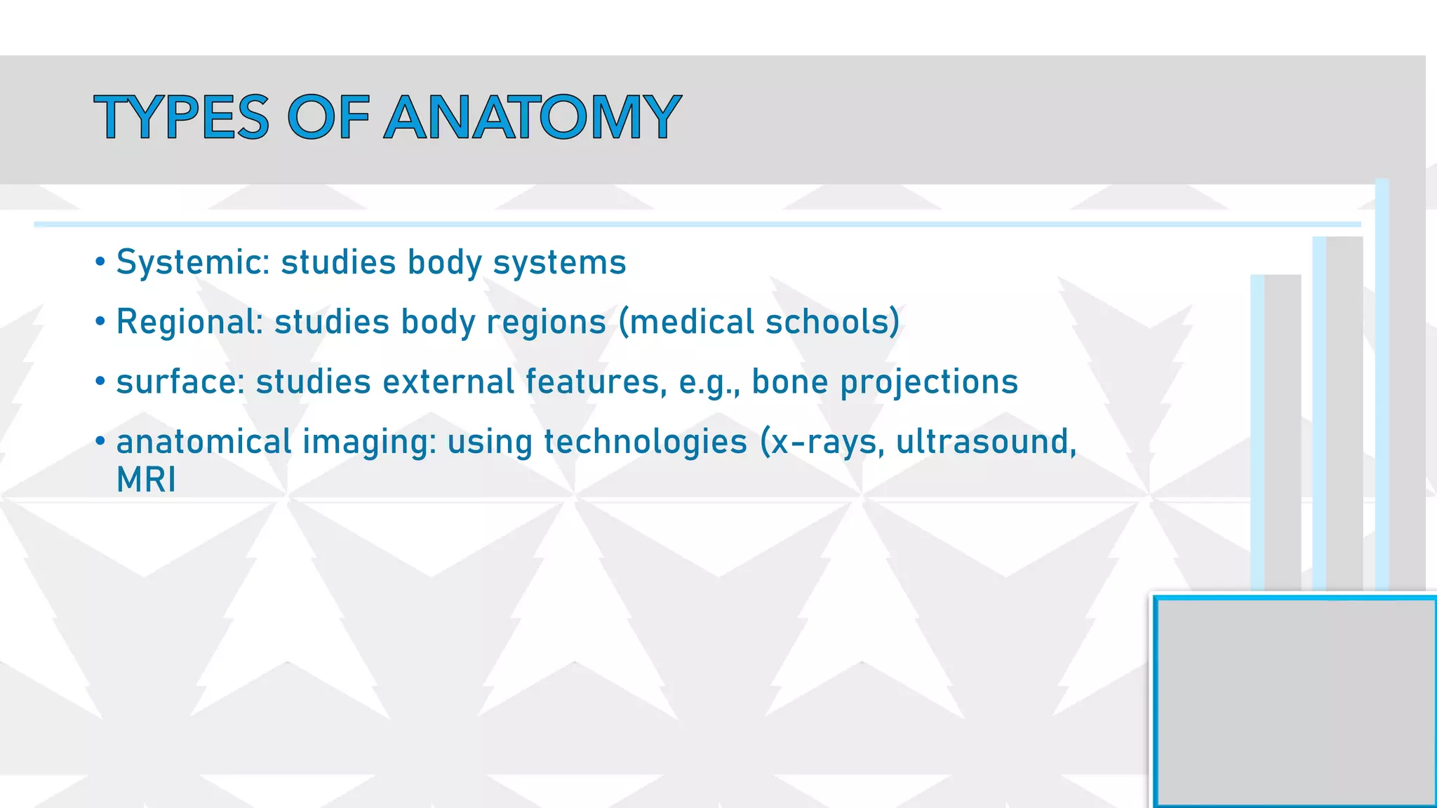 • Systemic: studies body systems
• Regional: studies body regions (medical schools)
• surface: studies external features, e.g., bone projections
• anatomical imaging: using technologies (x-rays, ultrasound,
MRI
 