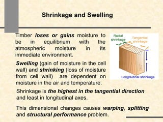 chapter 1 lecture 06 -timber.ppt