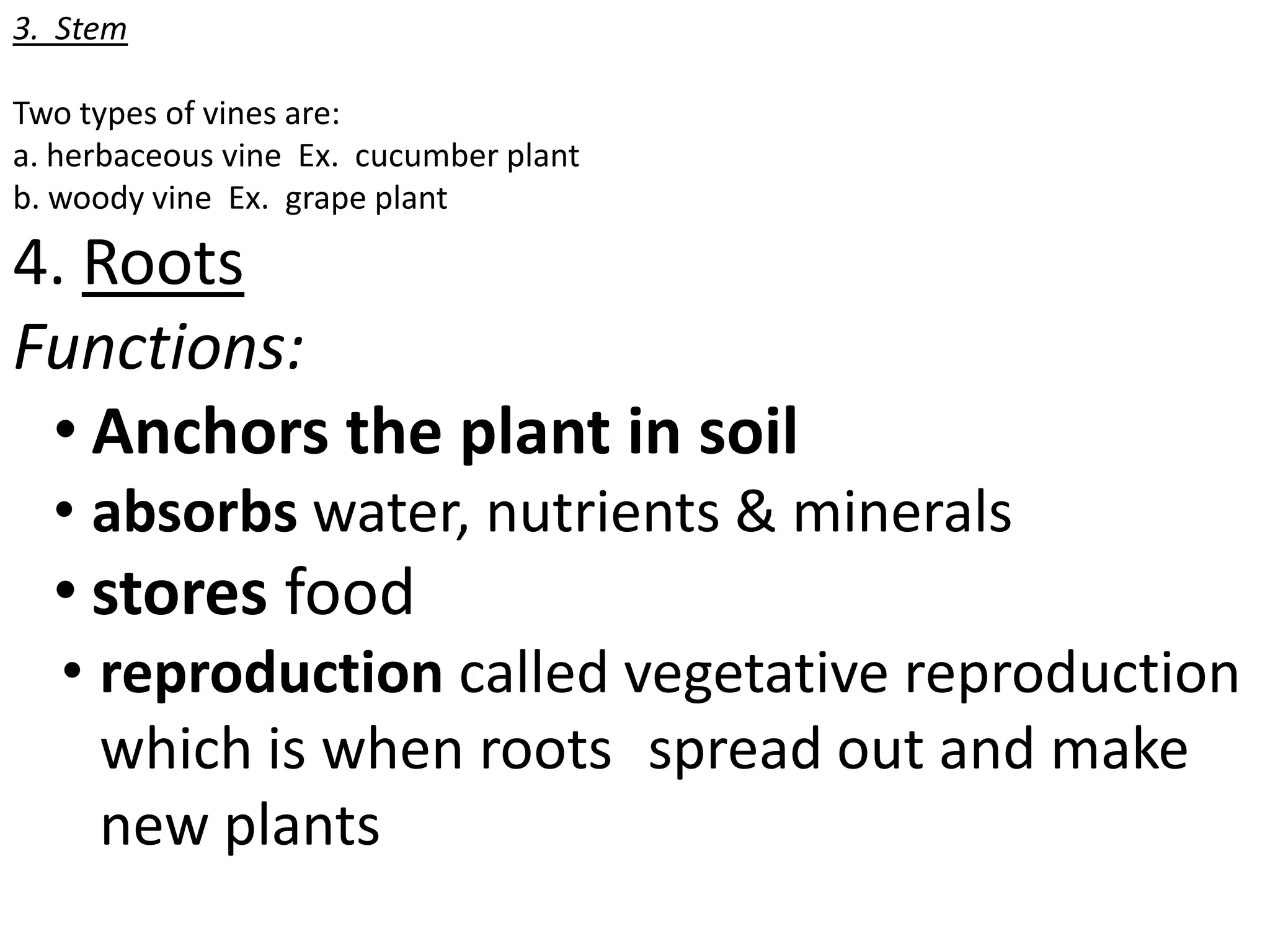 3. Stem

Two types of vines are:
a. herbaceous vine Ex. cucumber plant
b. woody vine Ex. grape plant

4. Roots
Functions:
 • Anchors the plant in soil
  • absorbs water, nutrients & minerals
  • stores food
   • reproduction called vegetative reproduction
     which is when roots spread out and make
     new plants
 