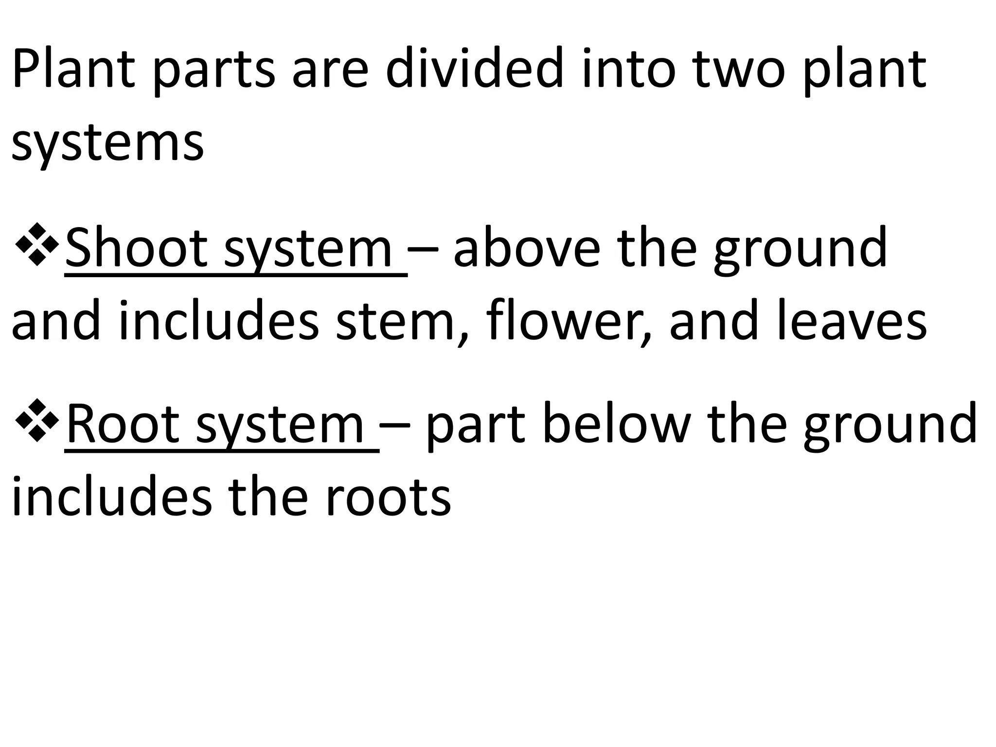 Plant parts are divided into two plant
systems
Shoot system – above the ground
and includes stem, flower, and leaves
Root system – part below the ground
includes the roots
 