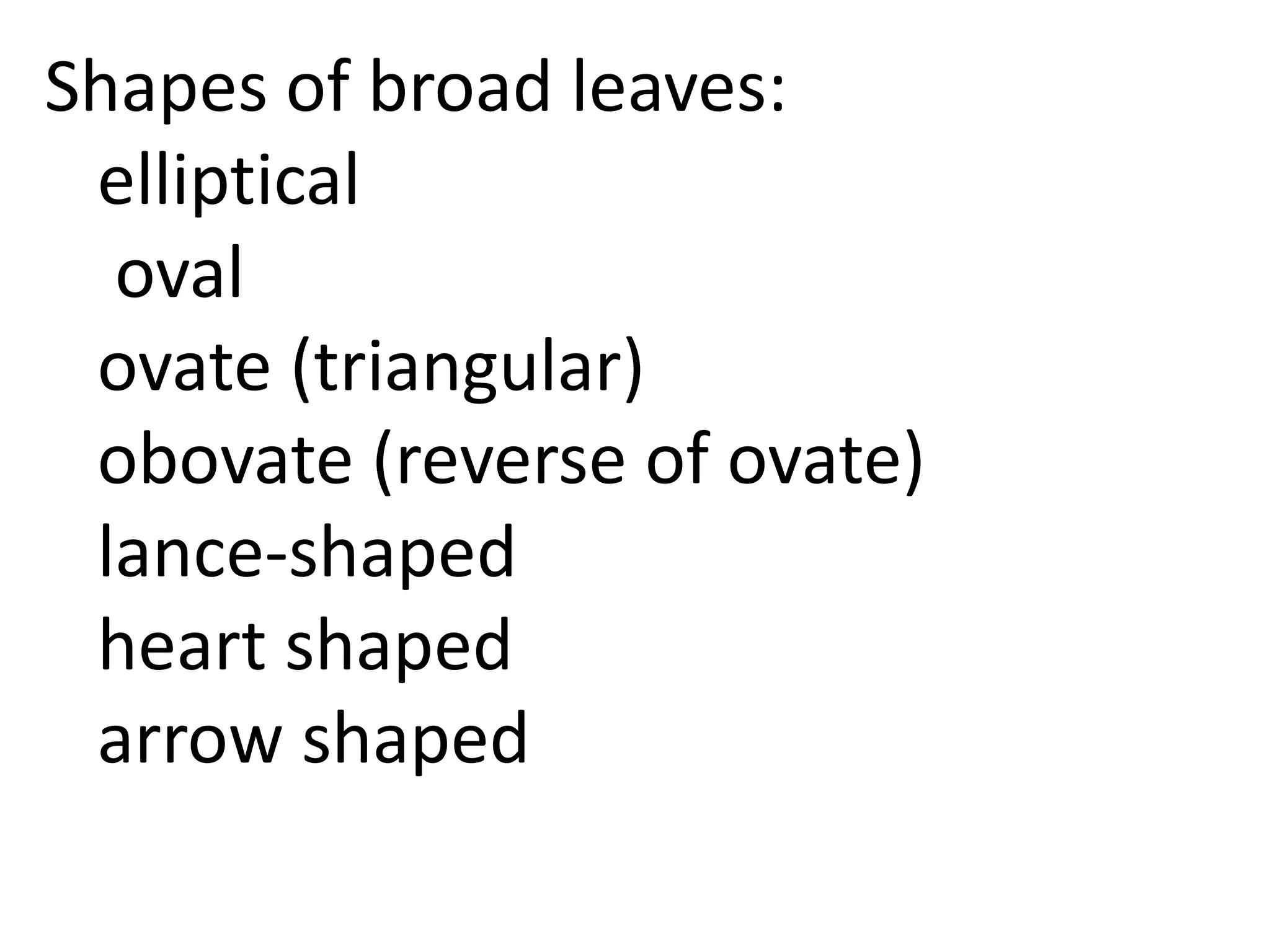Shapes of broad leaves:
 elliptical
  oval
 ovate (triangular)
 obovate (reverse of ovate)
 lance-shaped
 heart shaped
 arrow shaped
 