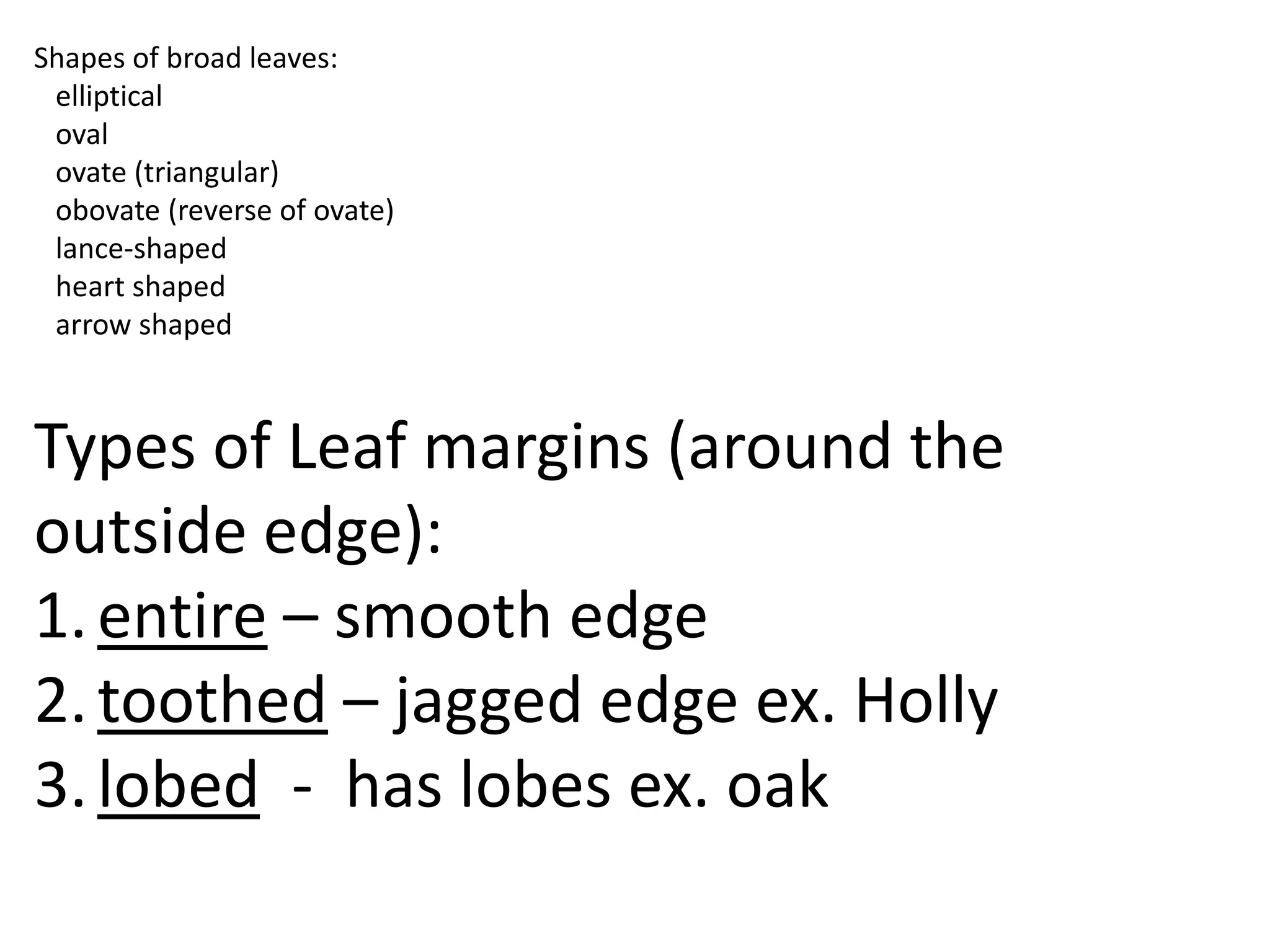 Shapes of broad leaves:
 elliptical
 oval
 ovate (triangular)
 obovate (reverse of ovate)
 lance-shaped
 heart shaped
 arrow shaped



Types of Leaf margins (around the
outside edge):
1. entire – smooth edge
2. toothed – jagged edge ex. Holly
3. lobed - has lobes ex. oak
 
