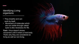 Chapter 1 Life processes (Class X) Usacademy.in