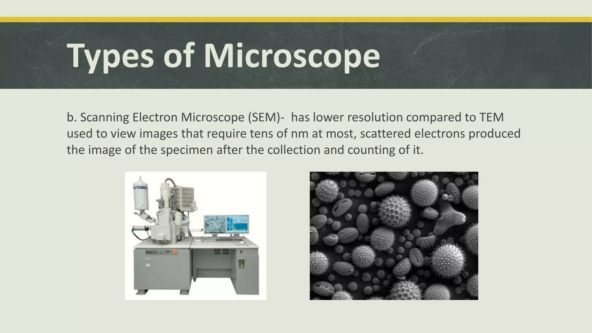 Types of Microscope
b. Scanning Electron Microscope (SEM)- has lower resolution compared to TEM
used to view images that require tens of nm at most, scattered electrons produced
the image of the specimen after the collection and counting of it.
 