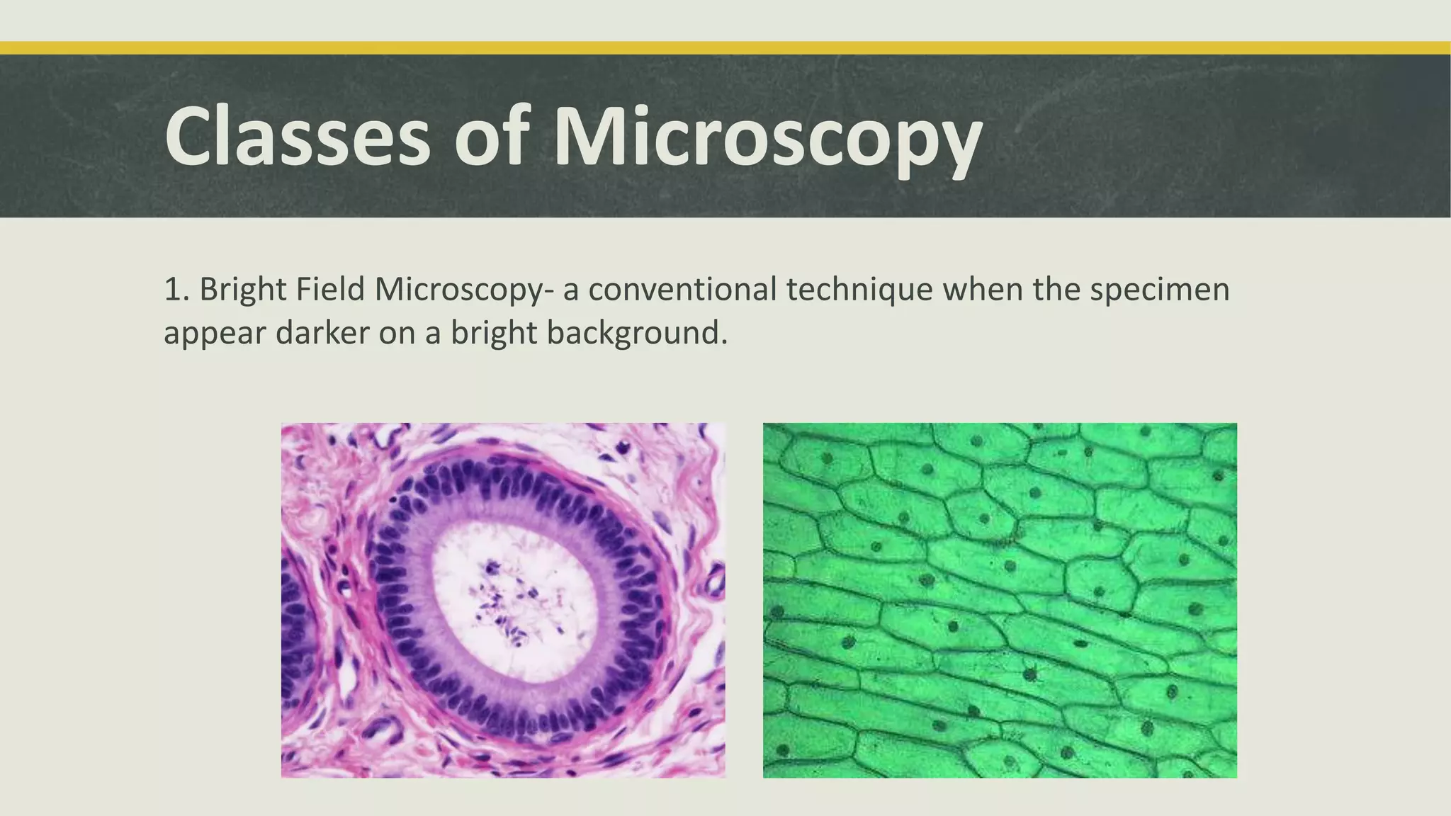 Classes of Microscopy
1. Bright Field Microscopy- a conventional technique when the specimen
appear darker on a bright background.
 