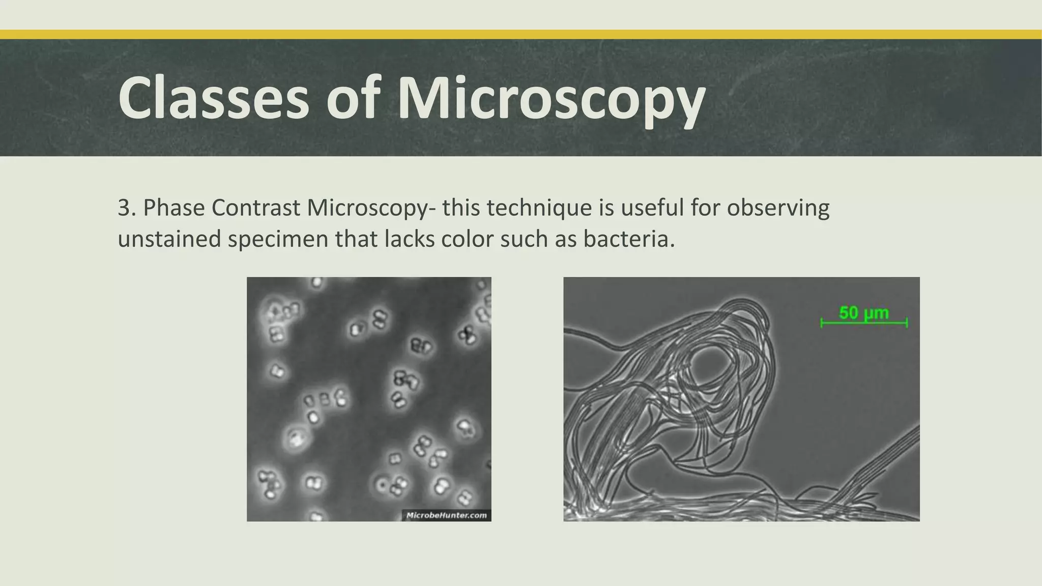 Classes of Microscopy
3. Phase Contrast Microscopy- this technique is useful for observing
unstained specimen that lacks color such as bacteria.
 