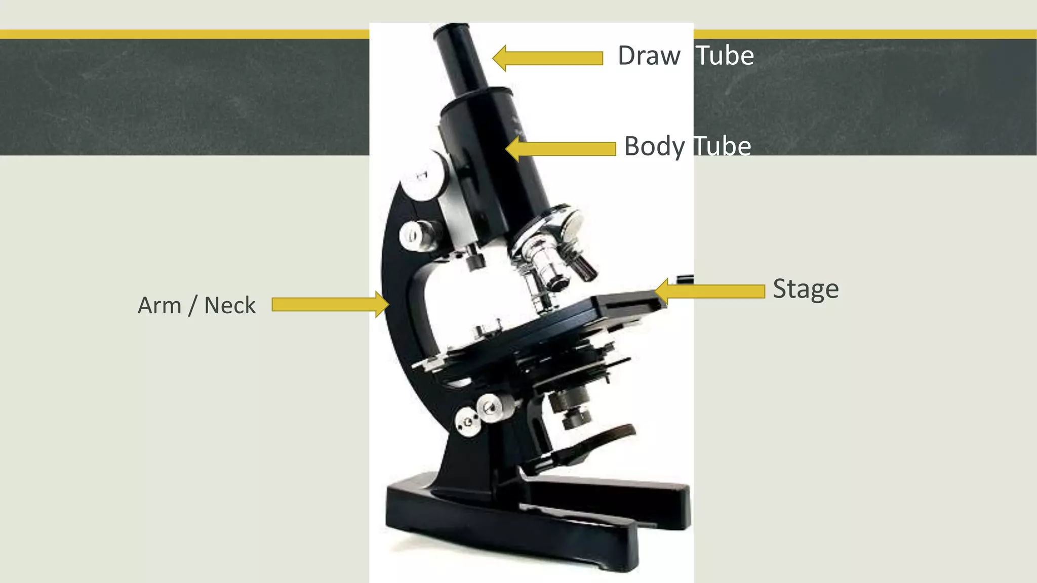 Draw Tube
Stage
Body Tube
Arm / Neck
 