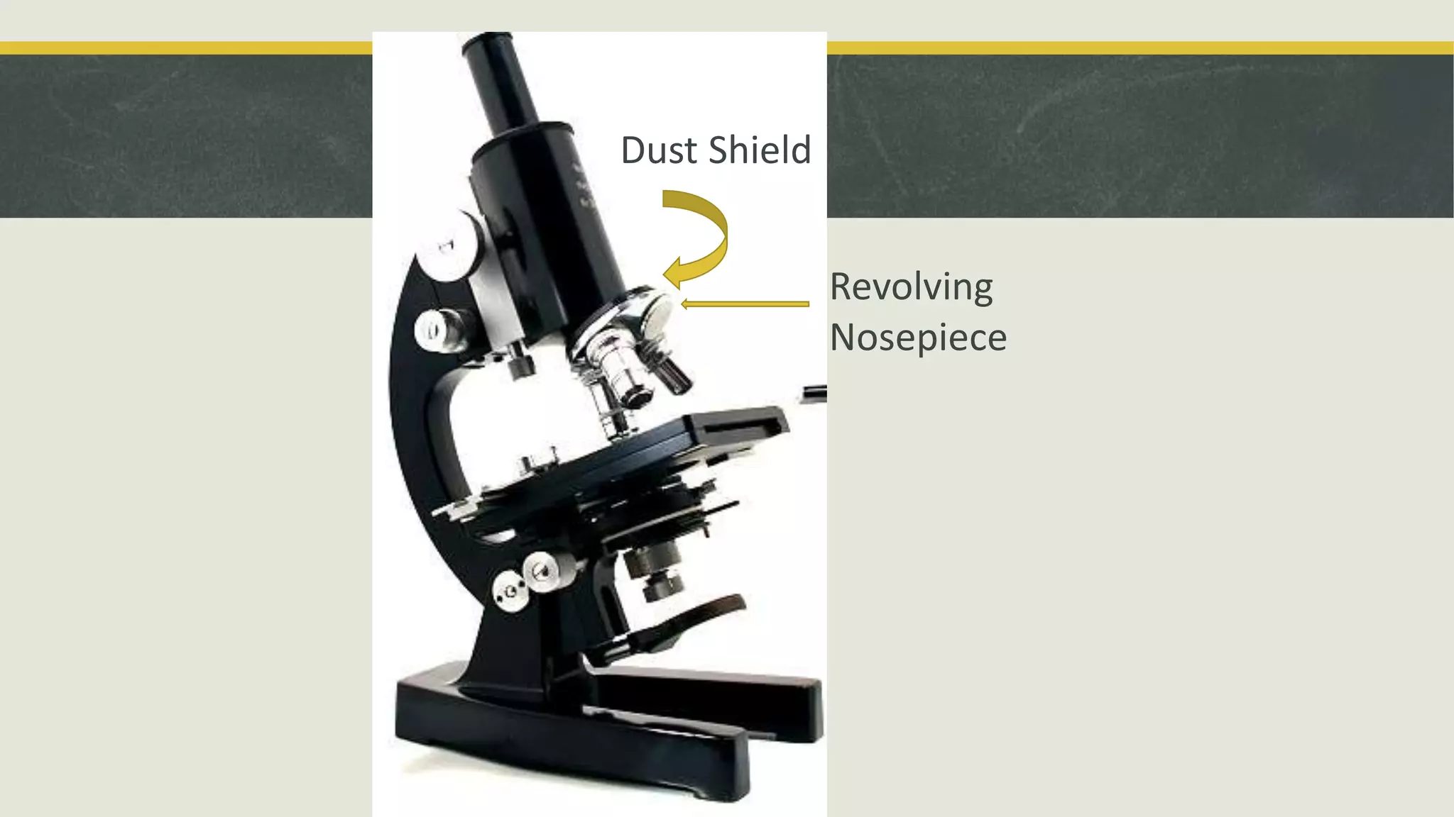 Dust Shield
Revolving
Nosepiece
 