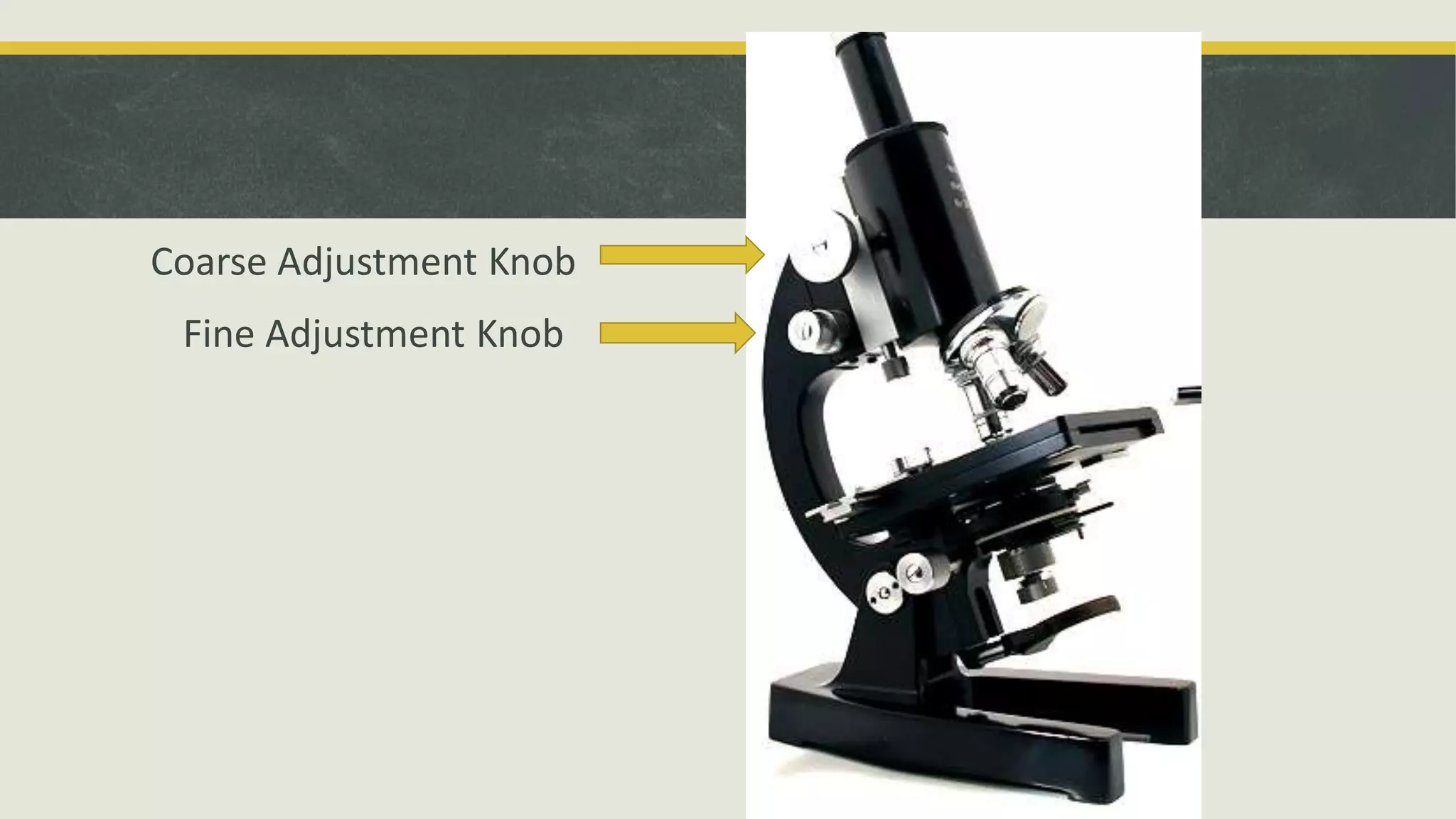 Coarse Adjustment Knob
Fine Adjustment Knob
 