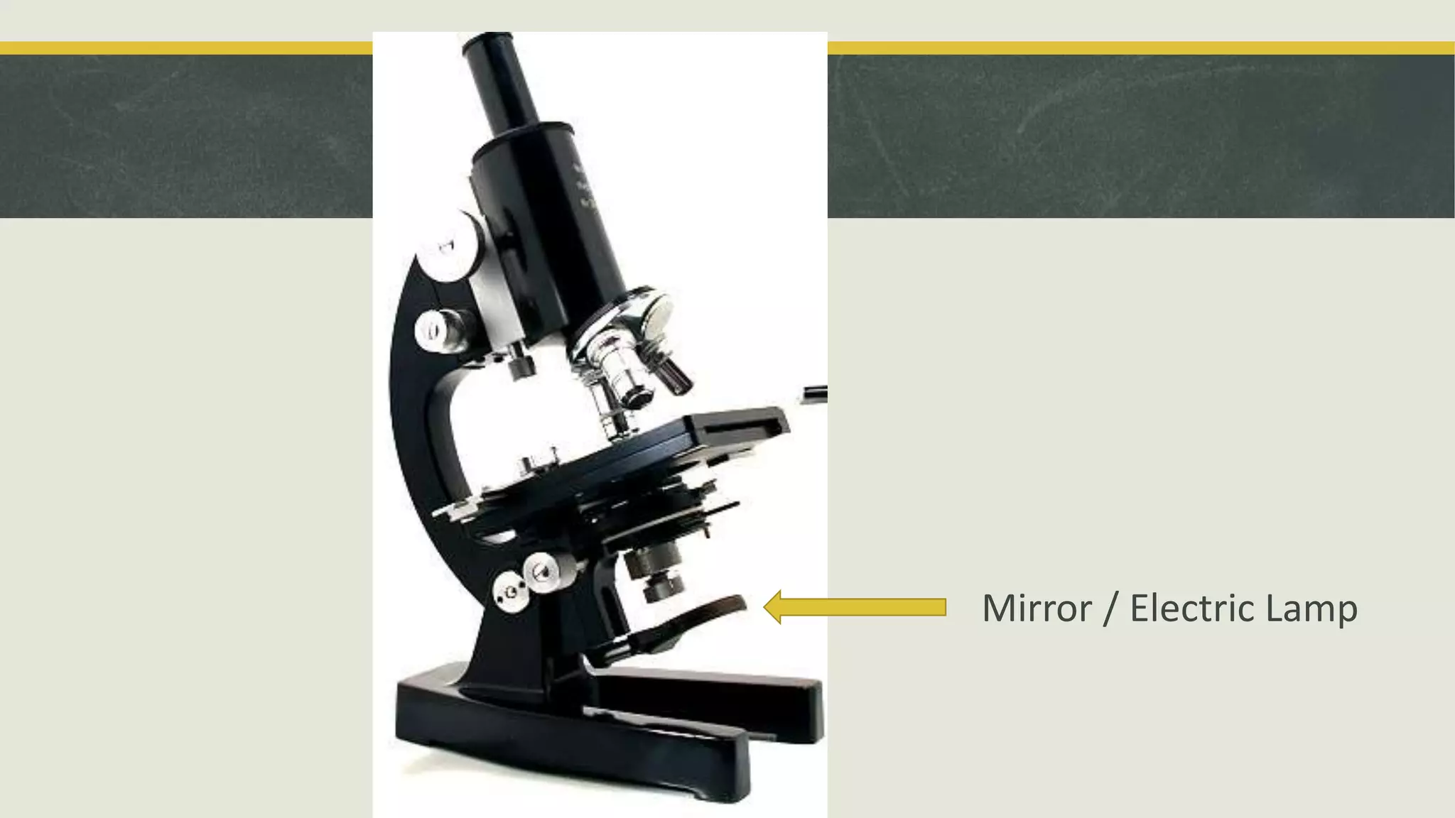 Mirror / Electric Lamp
 