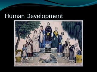 Human Development
 