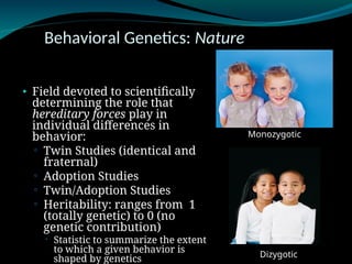Behavioral Genetics: Nature
• Field devoted to scientifically
determining the role that
hereditary forces play in
individual differences in
behavior:
▫ Twin Studies (identical and
fraternal)
▫ Adoption Studies
▫ Twin/Adoption Studies
▫ Heritability: ranges from 1
(totally genetic) to 0 (no
genetic contribution)
 Statistic to summarize the extent
to which a given behavior is
shaped by genetics
Monozygotic
Dizygotic
 