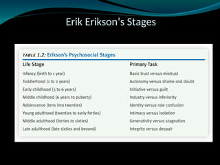Erik Erikson’s Stages
 