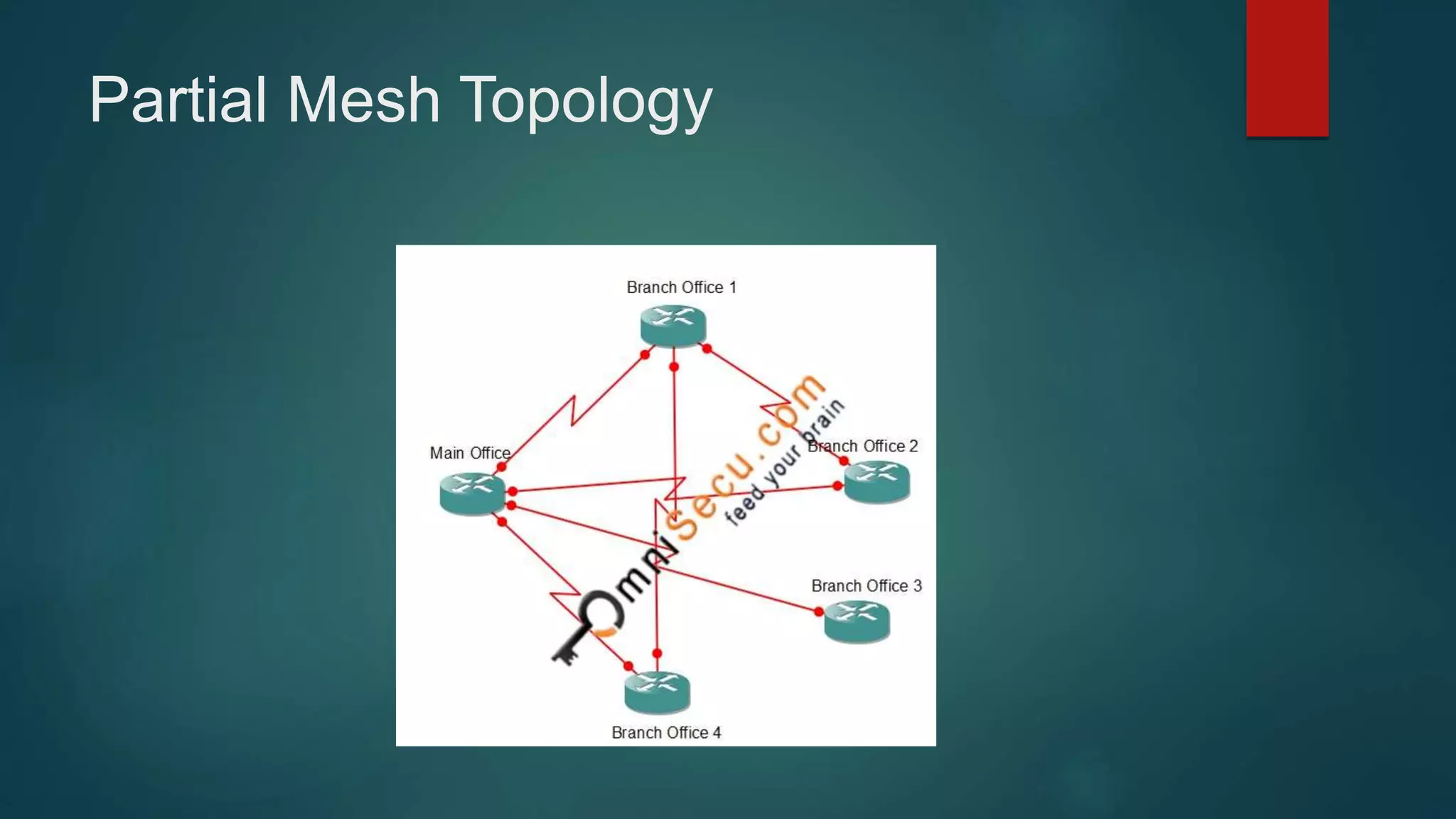Partial Mesh Topology
 
