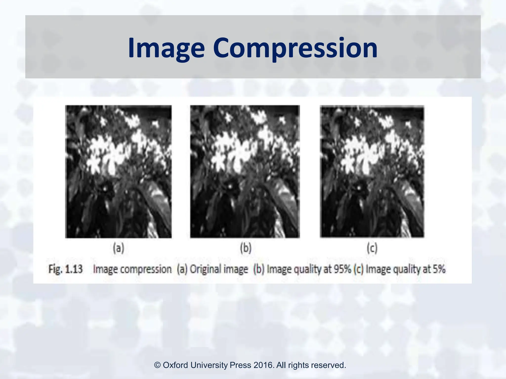 Image Compression
© Oxford University Press 2016. All rights reserved.
 
