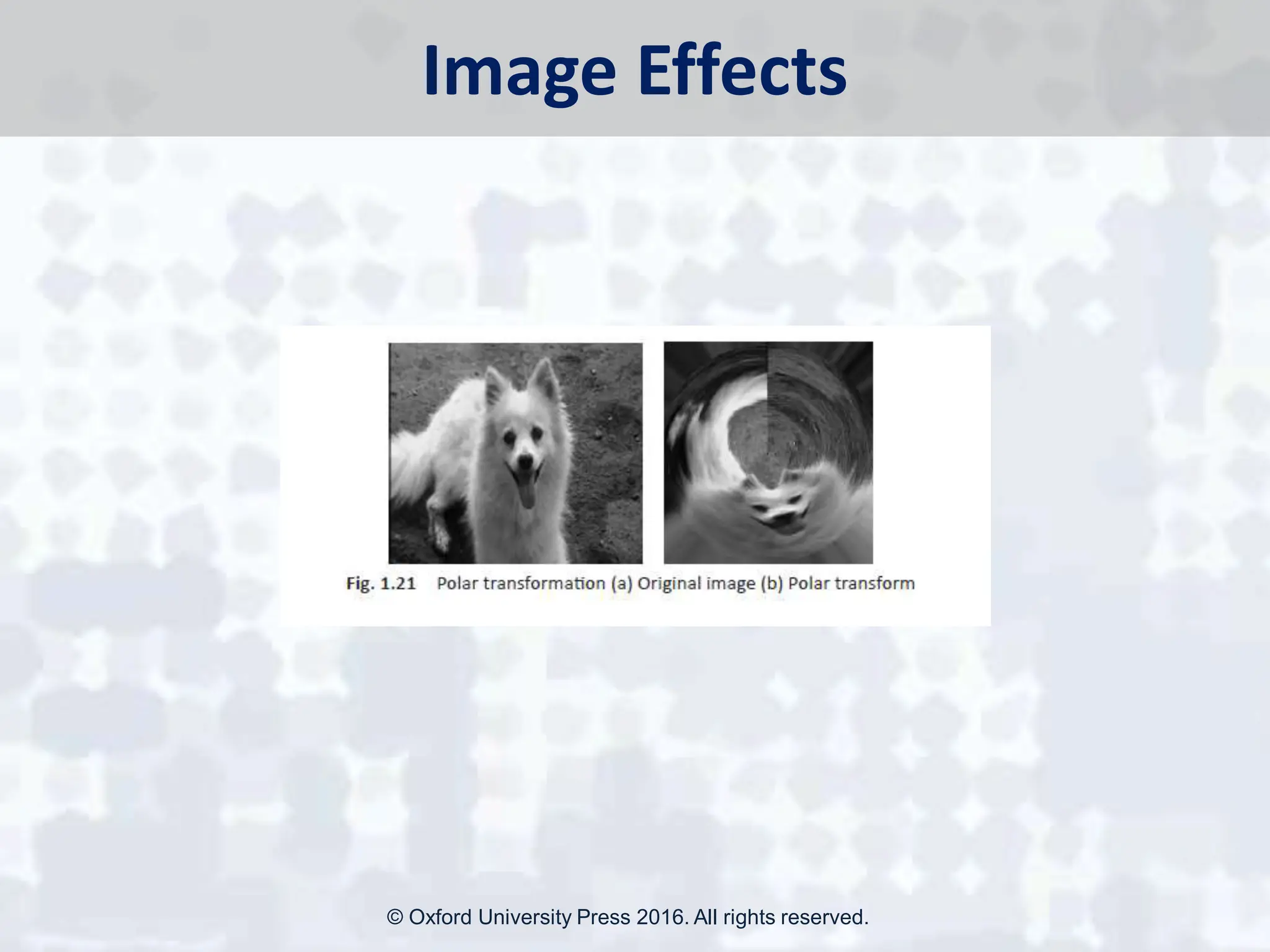 Image Effects
© Oxford University Press 2016. All rights reserved.
 