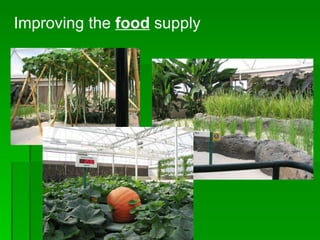 Improving the  food  supply 