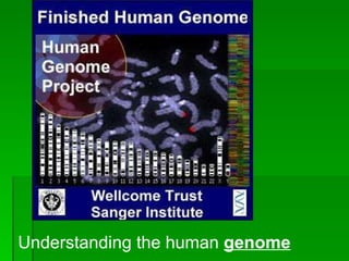 Understanding the human  genome 