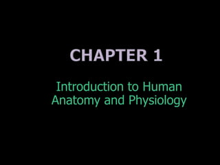 Introduction to Human
Anatomy and Physiology
 