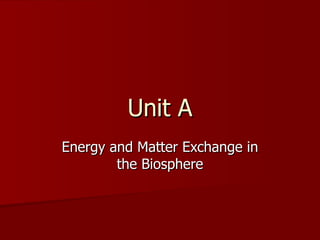 Unit A Energy and Matter Exchange in the Biosphere 