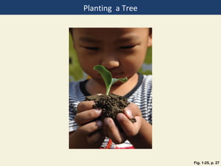 Planting a Tree




                  Fig. 1-25, p. 27
 