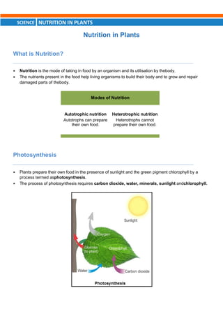 CBSE - Grade 7 - Science - Ch 1 - Nutrition in Plants - Notes (PDF ...
