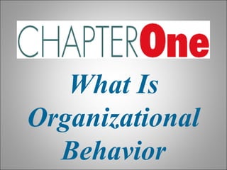 What Is
Organizational
Behavior
 